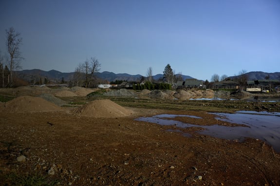 Redwood Development